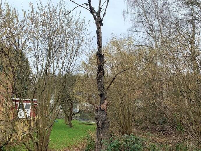 Grundstück Kaufungen Oberkaufungen - 218.125&euro; | Angebot:19297618