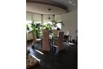 Einfamilienhaus Hofgeismar - 4 Zimmer, 770 m&sup2;, 490.000&euro; | Angebot:26989558