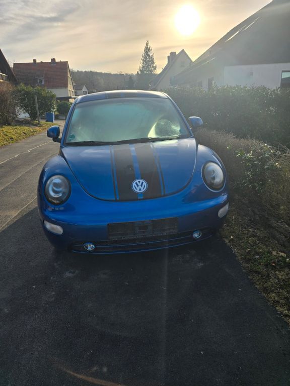 Beetle