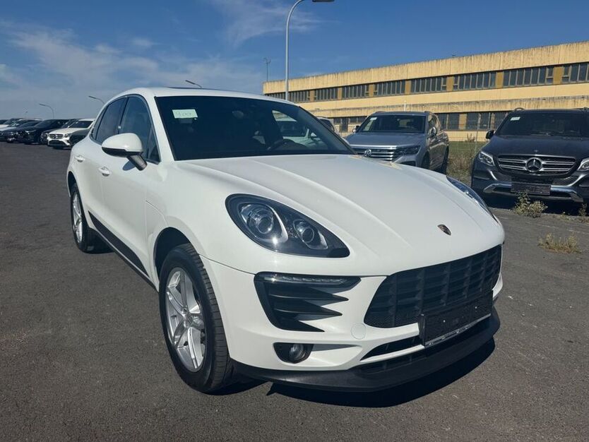 Macan