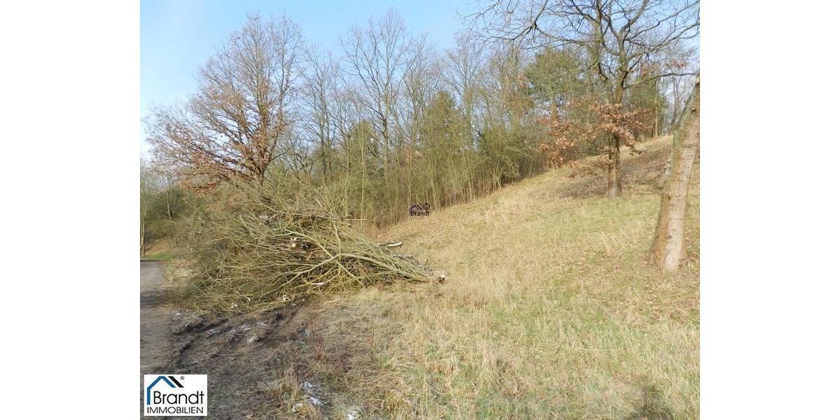 Baugrundstück für EFH oder DHH - Grundstück Calden Westuffeln | Angebot:7825109