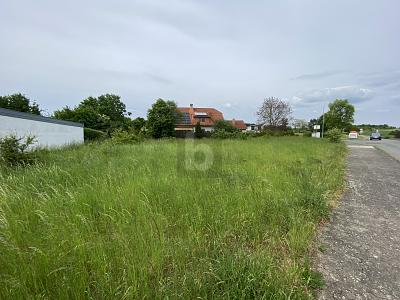PERFEKTE LAGE FÜR IHR BAUPROJEKT - Grundstück Zierenberg | Angebot:26918086