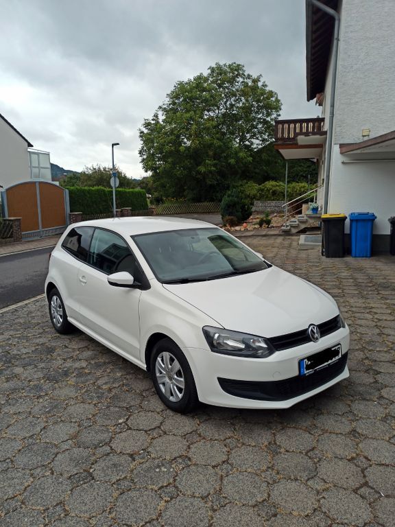 Polo