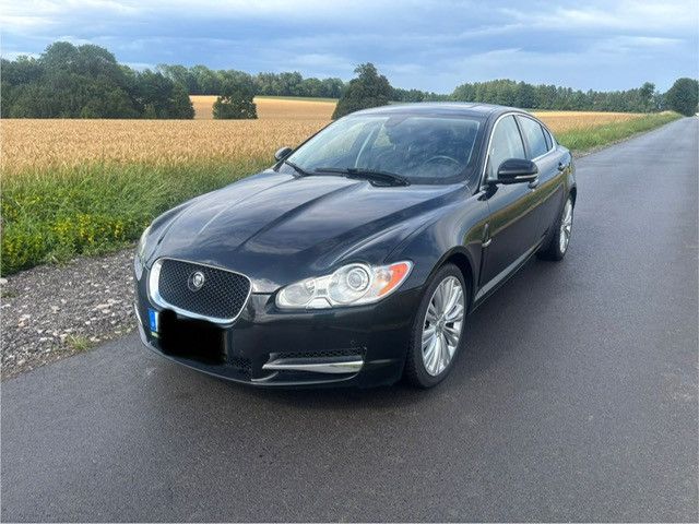 XF