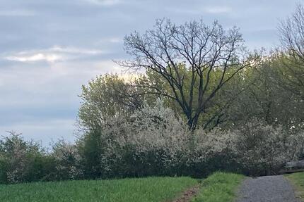 Gewerbeobjekt Vellmar - 650&euro; | Angebot:26210925