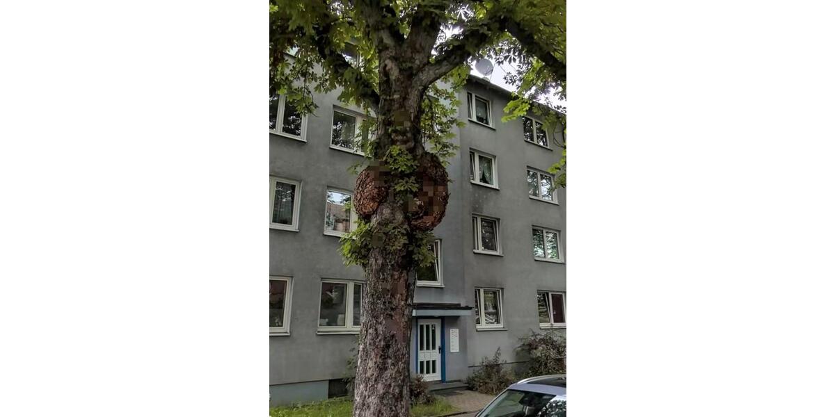 Etagenwohnung Kassel Philippinenhof-Warteberg - 3 Zimmer, 61 m&sup2;, 189.000&euro; | Angebot:25175051