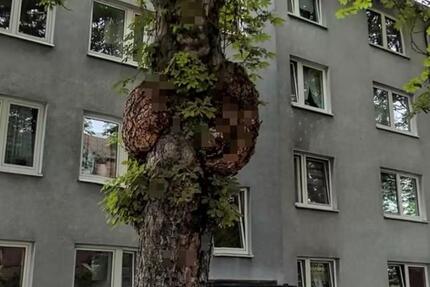 Wohnung Kassel Philippinenhof-Warteberg - 3 Zimmer, 61 m&sup2;, 189.000&euro; | Angebot:25175051