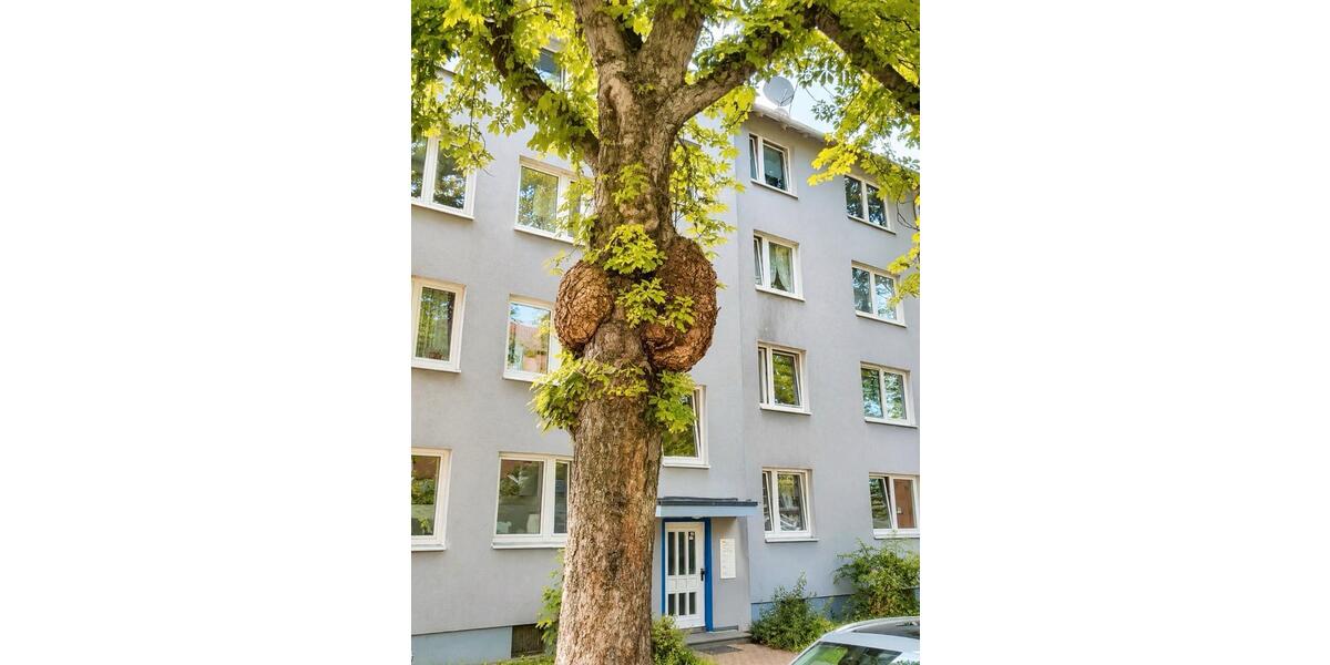 Etagenwohnung Kassel Philippinenhof-Warteberg - 3 Zimmer, 61 m&sup2;, 179.000&euro; | Angebot:26973340