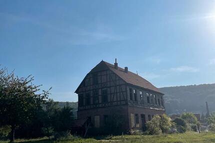 Koppel Weide mit sanierungsbedürftigem Landhaus