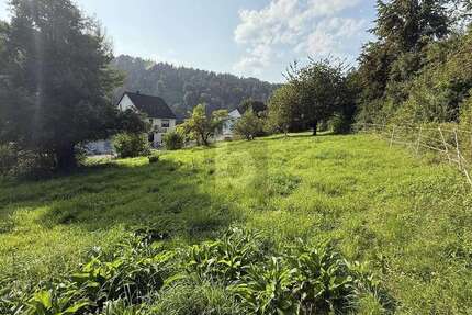 Grundstück Staufenberg - 100.000&euro; | Angebot:26050032