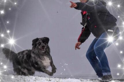 Wohnungsgesuch 2 zimmer