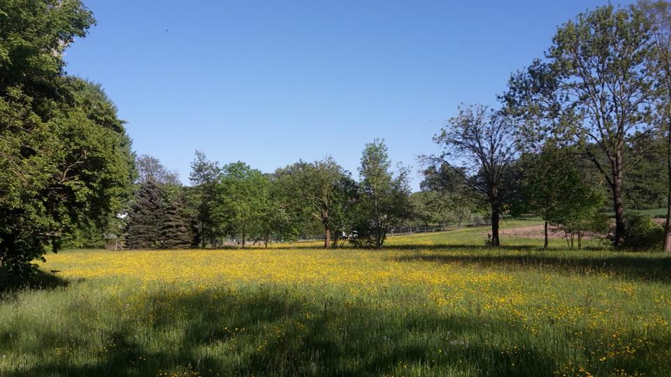 Bauernhaus, Landhaus Felsberg - 9 Zimmer, 300 m&sup2;, 490.000&euro; | Angebot:25225011