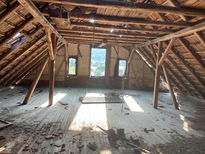 Koppel Weide mit sanierungsbedürftigem Landhaus