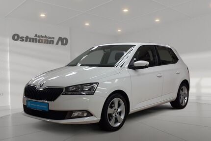 Skoda Fabia 70.099 km 13.795 &euro; Melsungen 34212