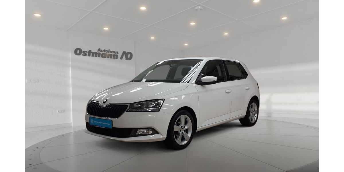 Skoda Fabia 70.099 km 13.795 &euro; Melsungen 34212