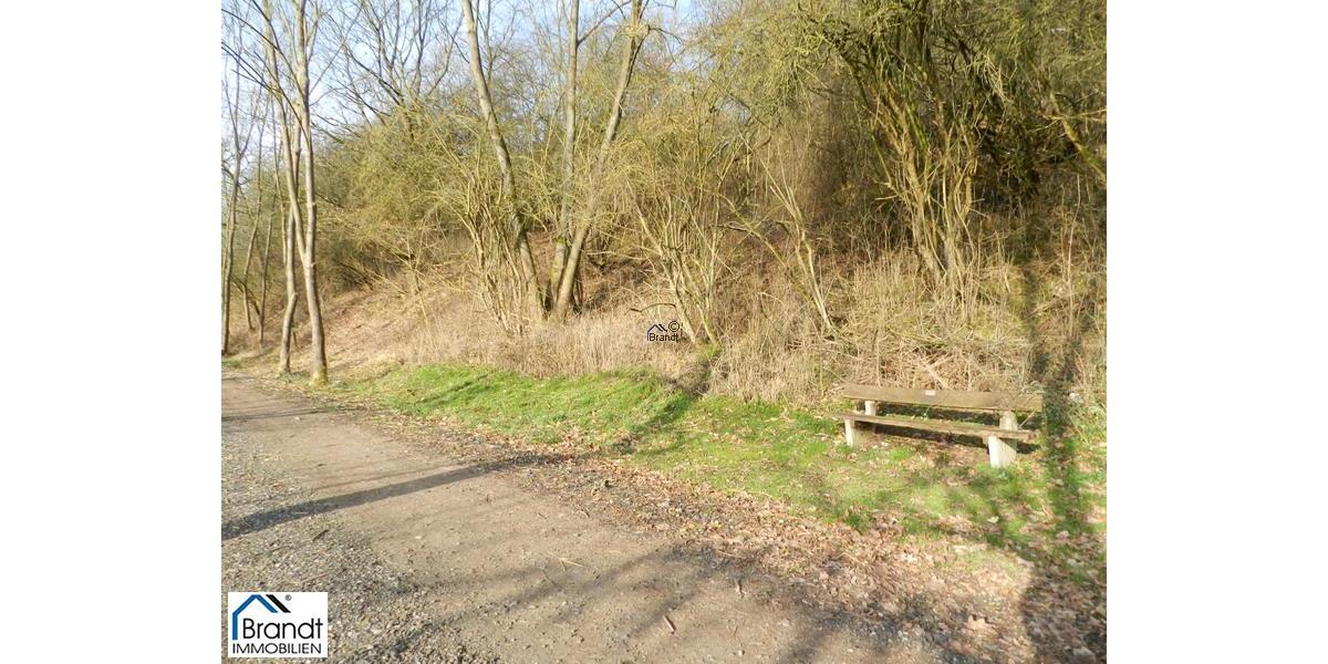 Baugrundstück für EFH oder DHH zimmer