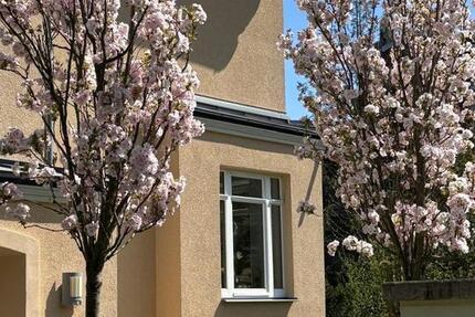 Wohnung Kassel Niederzwehren - 2 Zimmer, 72 m&sup2;, 1.058&euro; | Angebot:26397961