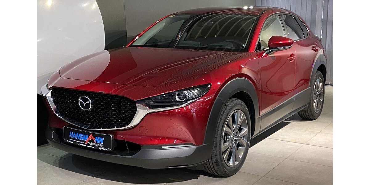 Mazda CX-30 11.000 km 28.290 € Kassel 34123