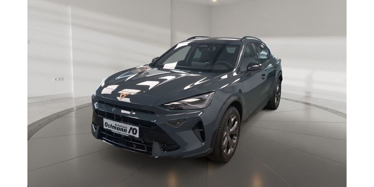 Cupra Formentor 1.200 km 44.889 &euro; Wolfhagen 34466