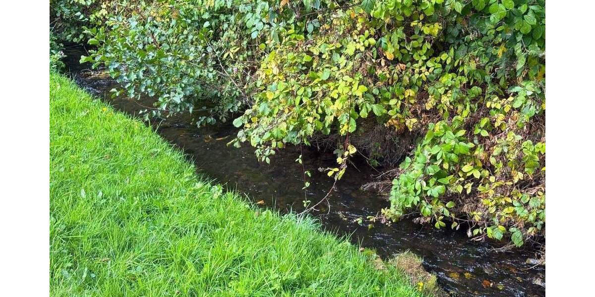 Doppelhaushälfte Helsa - 5 Zimmer, 120 m&sup2;, 129.000&euro; | Angebot:26156461