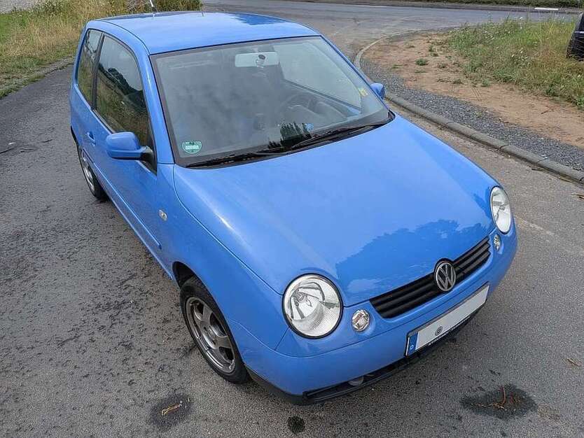 Lupo