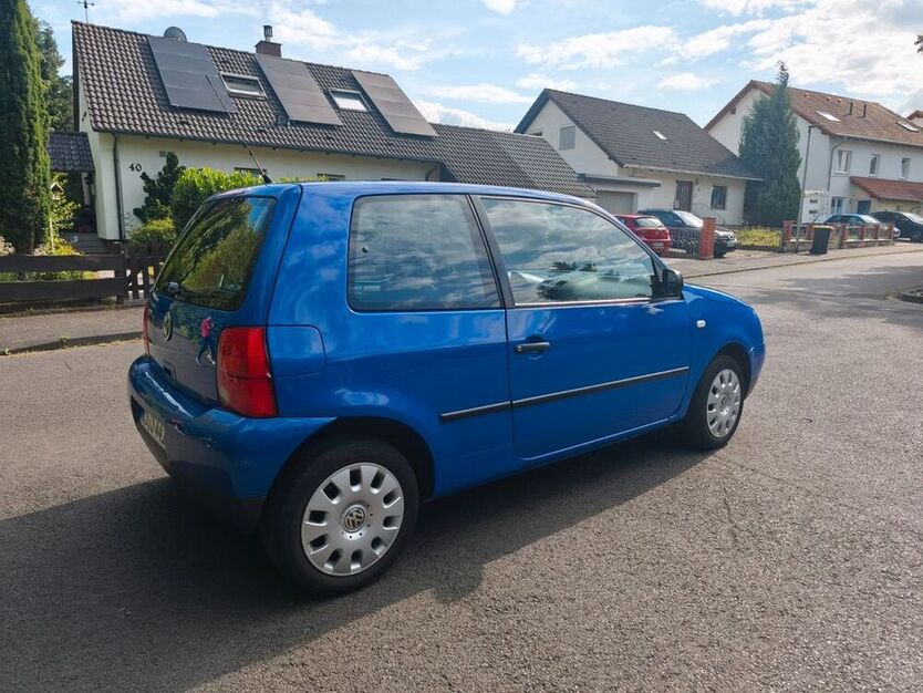 Lupo