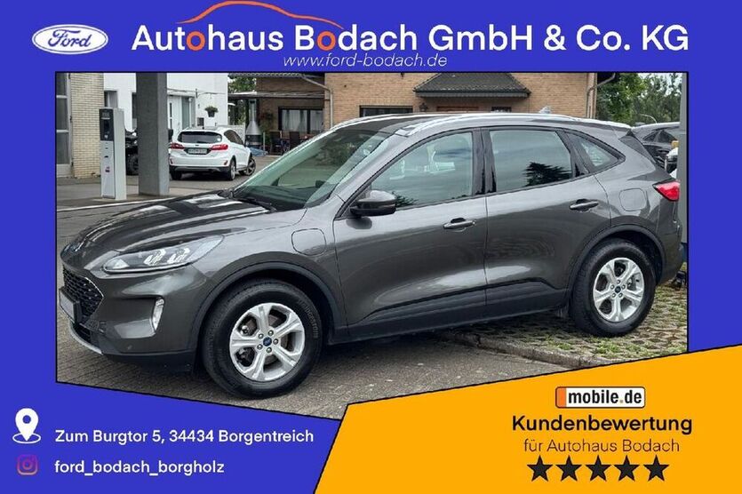 Kuga