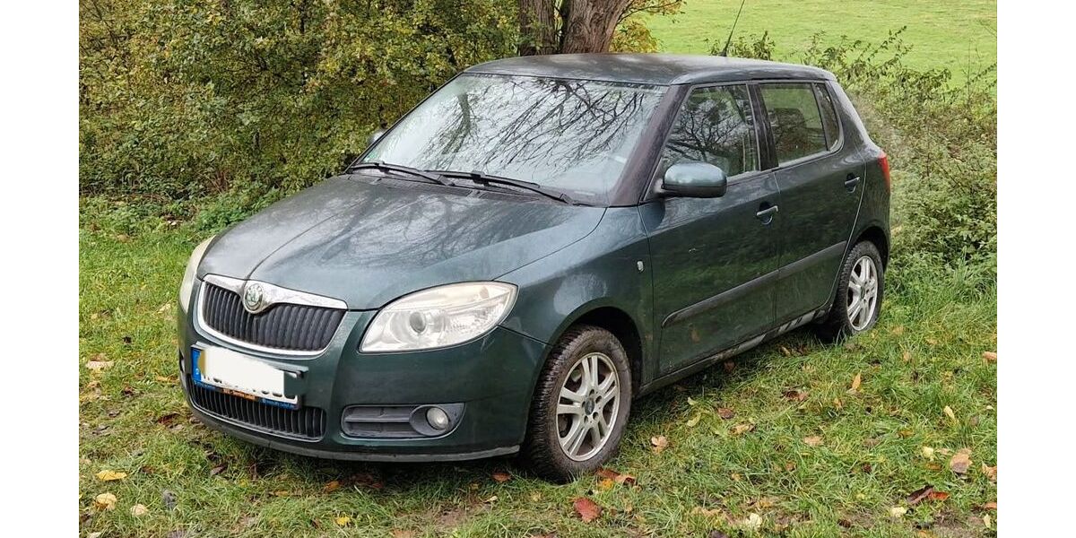 Skoda Fabia 128.000 km 2.190 € Dransfeld 37127