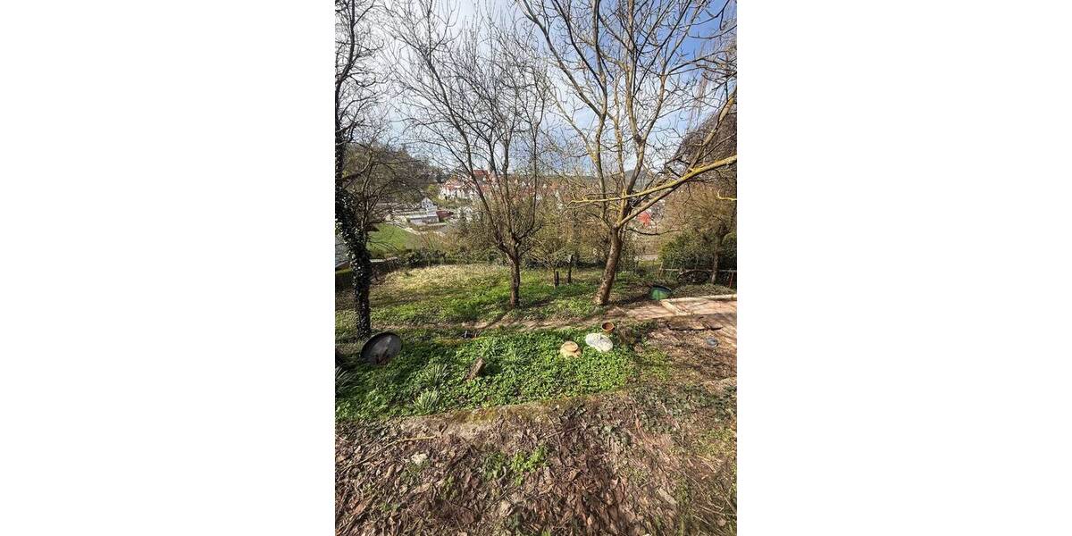 Grundstück Naumburg - 50.000&euro; | Angebot:26458392