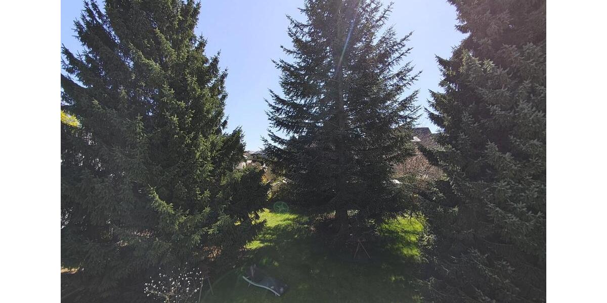 Etagenwohnung Hofgeismar - 3 Zimmer, 120 m&sup2;, 960&euro; | Angebot:26287932