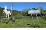 Doppelhaushälfte Staufenberg-Speele Speele - 5 Zimmer, 119 m&sup2;, 159.000&euro; | Angebot:26696720