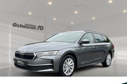 Skoda Octavia 1.200 km 33.990 € Niestetal 34266