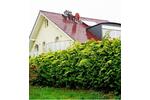 Einfamilienhaus Lohfelden - 5 Zimmer, 245 m&sup2;, 3.000&euro; | Angebot:26698564