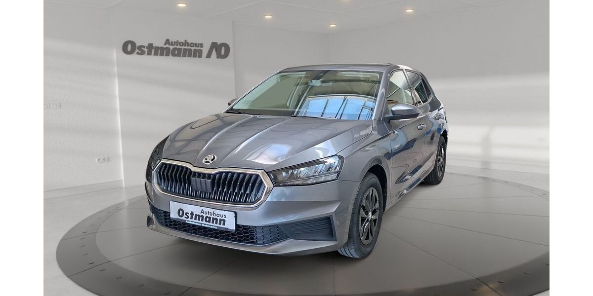 Skoda Fabia 24.387 km 15.371 &euro; Fritzlar 34560