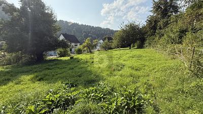 VIEL PLATZ FÜR IHRE BAUPLÄNE - Grundstück Staufenberg | Angebot:26029838