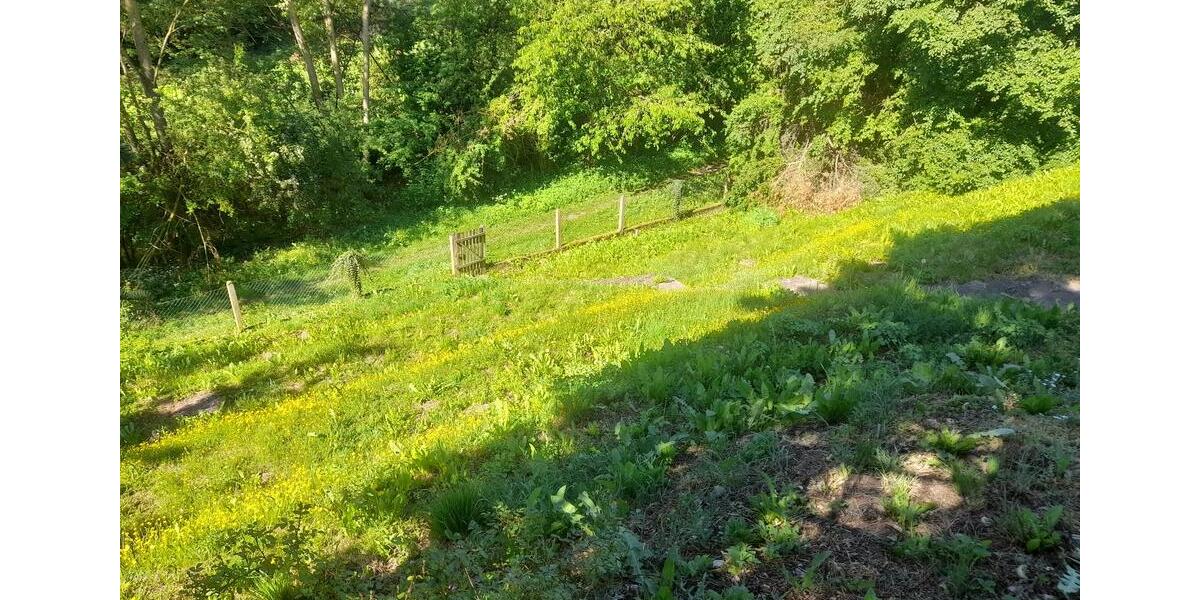 Doppelhaushälfte Hofgeismar - 6 Zimmer, 140 m&sup2;, 289.000&euro; | Angebot:25332823