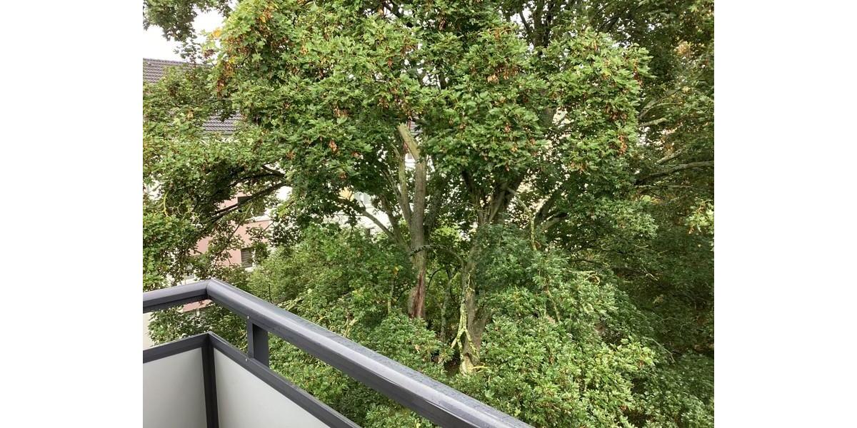 Etagenwohnung Kassel - 4 Zimmer, 67 m&sup2;, 746&euro; | Angebot:26410960