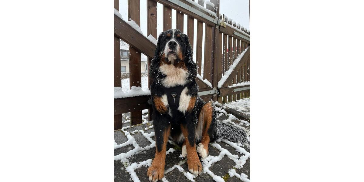 Freistehendes Einfamilienhaus mit großen Garten am Hang 4 zimmer