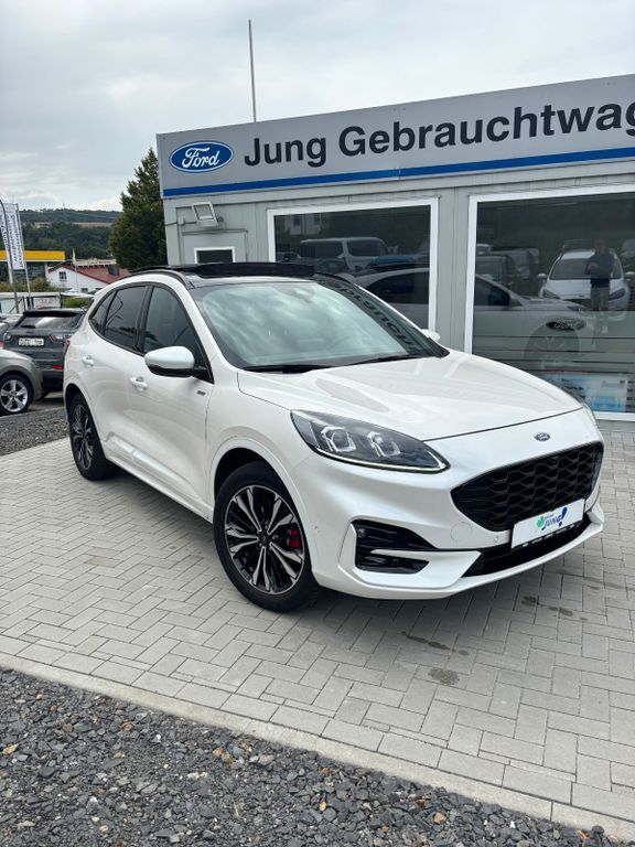 Kuga
