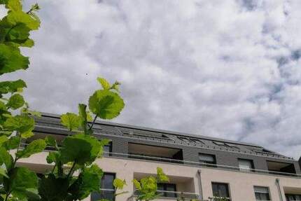 Modern Wohnen in Guxhagen