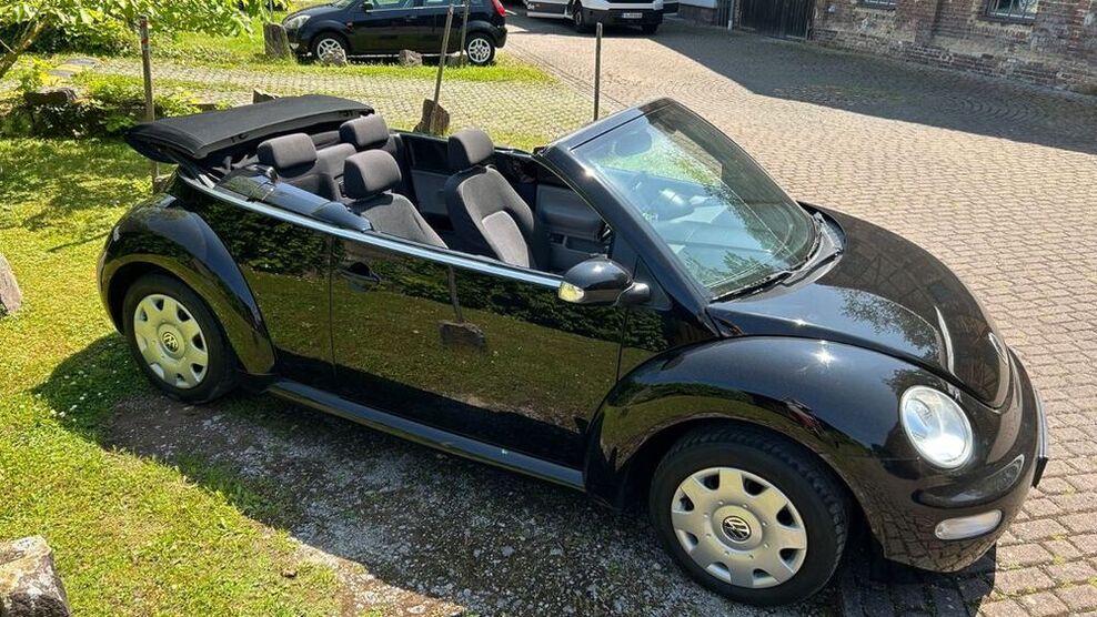 Beetle