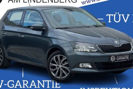 Skoda Fabia 65.000 km 10.899 € Kassel 34123