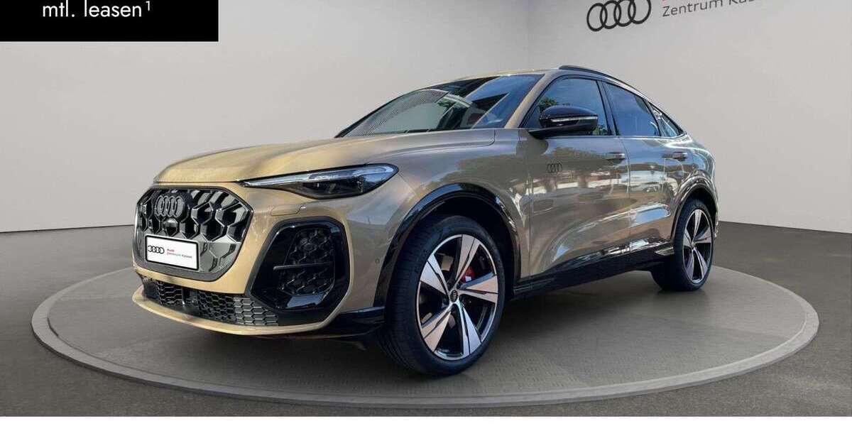 Audi SQ5 11.000 km 89.990 &euro; Kassel 34125
