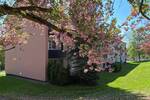 Etagenwohnung Fritzlar - 2 Zimmer, 54 m&sup2;, 426&euro; | Angebot:26596370