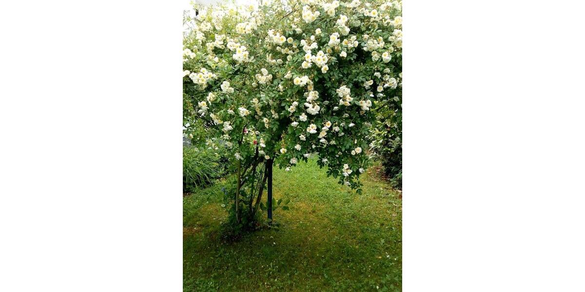 Einfamilienhaus Kassel Kirchditmold - 7 Zimmer, 197 m&sup2;, 599.000&euro; | Angebot:24967274