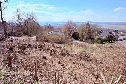 Grundstück Niedenstein - 215.000&euro; | Angebot:26313559