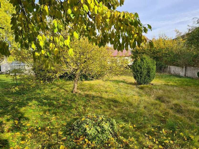 Grundstück zu verkaufen in Wolfhagen 219.000 € 1180 m²