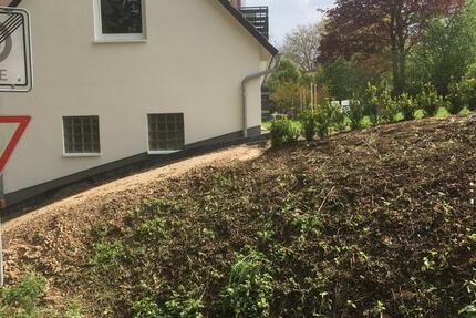 Wohnung Wolfhagen - 1 Zimmer, 26 m&sup2;, 320&euro; | Angebot:25636456