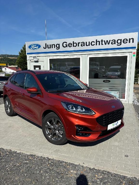 Kuga