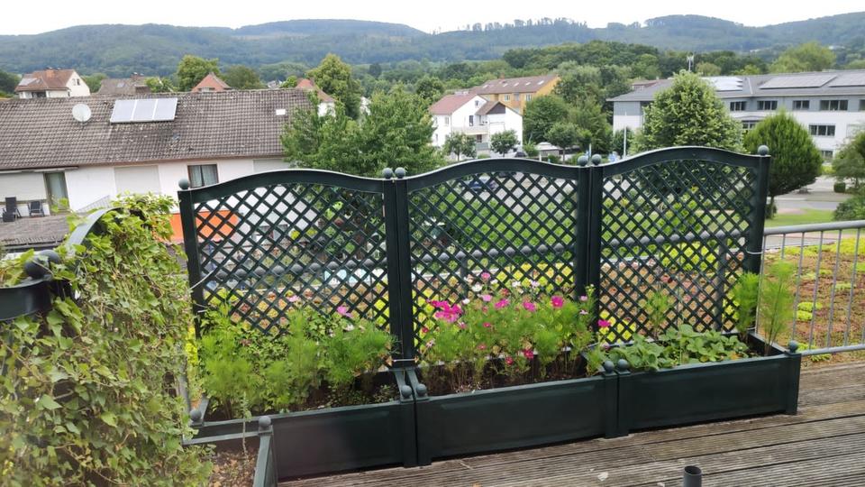 Kreis Kassel - Qualitäts-Bungalow vollunterkellert-provisionsfrei 5 zimmer